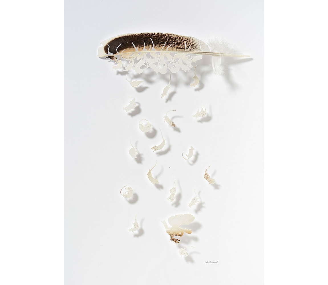 "Rodent Rain" - Chris Maynard